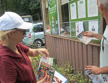 � �������� ������ ���������� �������� ����������� �� ������ ��������